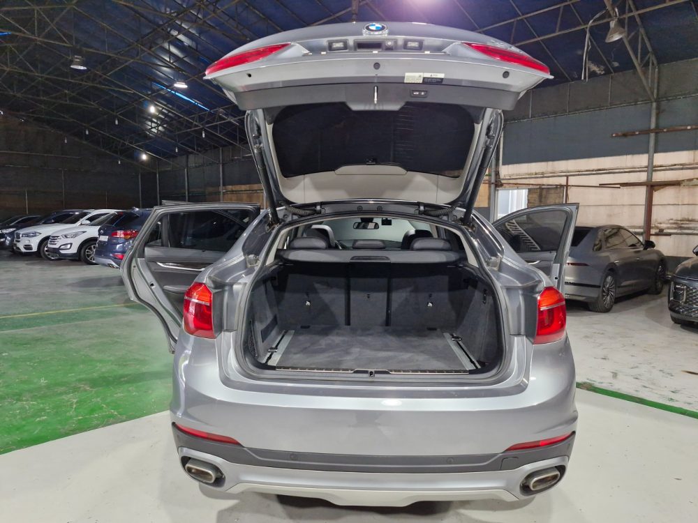 BMW X6 30d 2018 – 3.0CC TwinPowerTurbo Diesel / 4X4 / 5 Pasajeros - Imagen 29