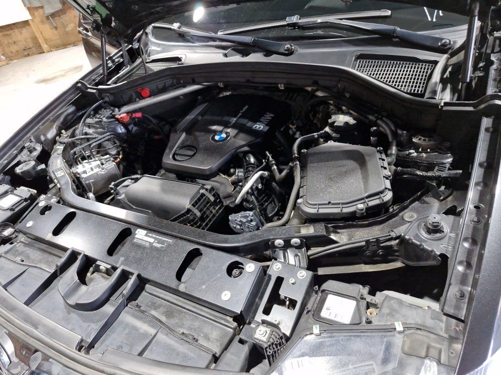 BMW X4 2018 – 2.0cc TwinPowerTurbo / XDrive / 5 Pasajeros / Kit M Sport - Imagen 12