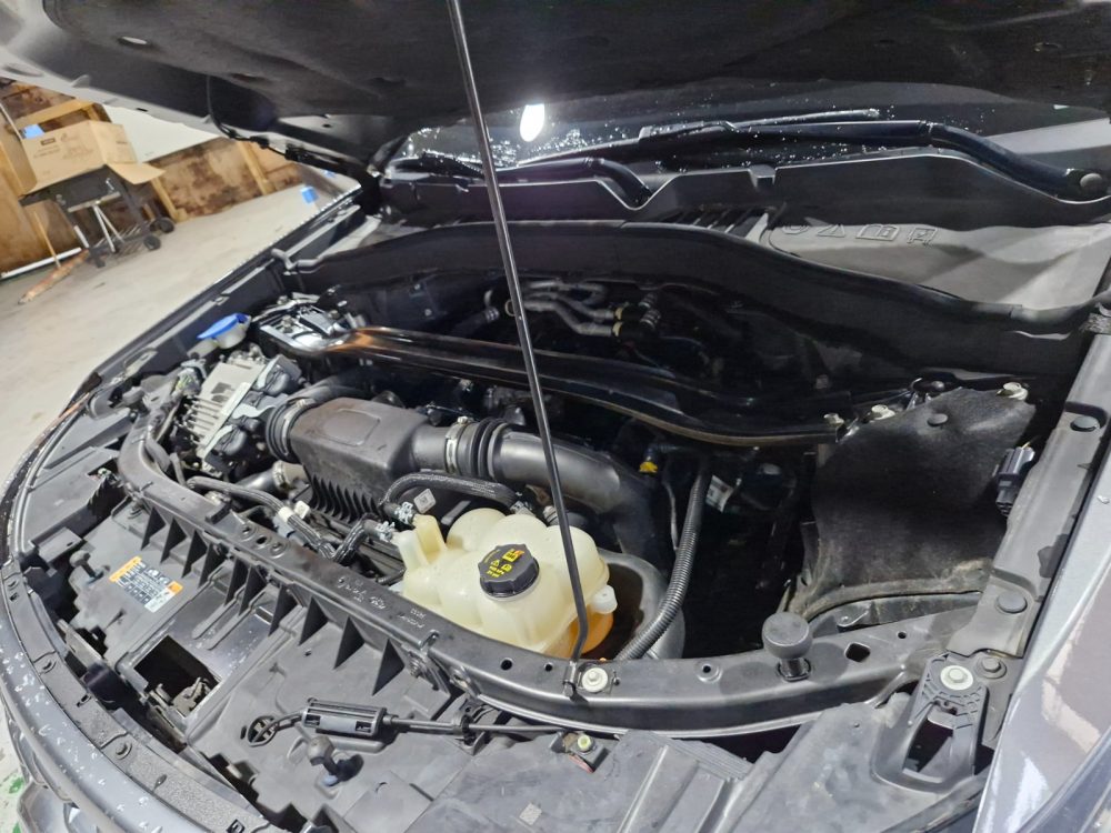 FORD EXPLORER PLATINUM 2021 – V6 EcoBoost de 3.0 L  / 4×4 / 6 Pasajeros - Imagen 12