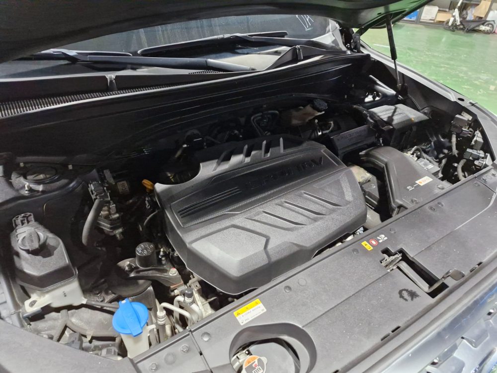 HYUNDAI PALISADE 2019 – 2.2CC Turbo Diesel / 6 Pasajeros / 4×4 / FULL - Imagen 19